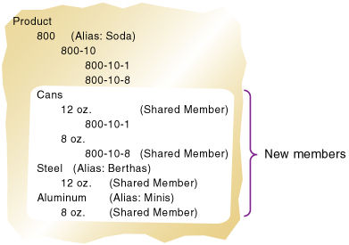 This images shows new shared members at different levels in the Product dimension.