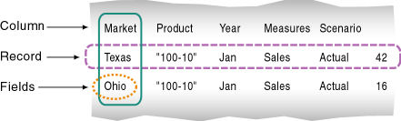 This image illustrates the concept of records and fields in a data source, as described in the text preceding the image.