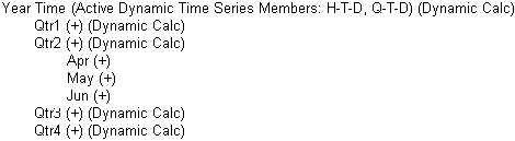 This image shows how Dynamic Time Series members are represented in an outline, as described in the text preceding the image.