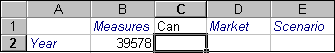 An attribute member in a report.
