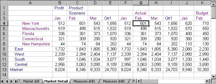 Market Detail worksheet of the Sample Basic database in Excel.