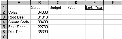 Entering a level name in a free-form report.
