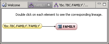 The dimension element, “FAMILY”, shows only one lineage element: the “FAMILY” column. This means either that both the caption and key binding expressions are the same for the element; or that the key binding expression of the element is set to “delayed”. The “FAMILY” column is from the FAMILY table. 