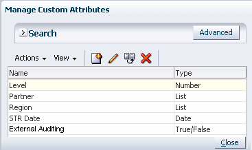 Example of Custom Attributes dialog