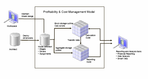 The model metadata from Workspace and EPM Architect is used in the creation of the Profitability and Cost Management model, and the calculated results can be output in a variety of reporting and analysis tools.