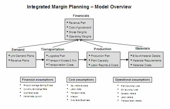 The figure shows the predefined information in the Integrated Margin Planning model