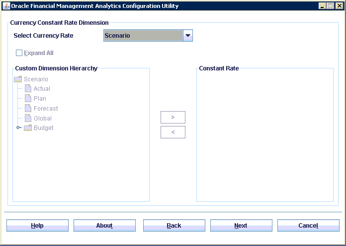 Select a Scenario that has the currency rate that you want to use. The Custom Dimension Hierarchy is disabled, and you do not need to select any dimensions.