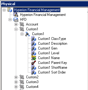 The Physical Layer displays the dimension member properties for each dimension in the Physical hierarchy or cube.