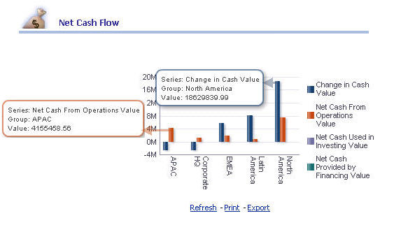 Net Cash Flow