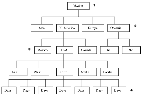 This image shows generations and levels.