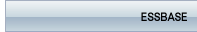Essbase