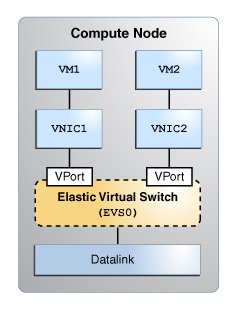 image:The figure shows an explicitly created elastic virtual switch in a                             single compute node.