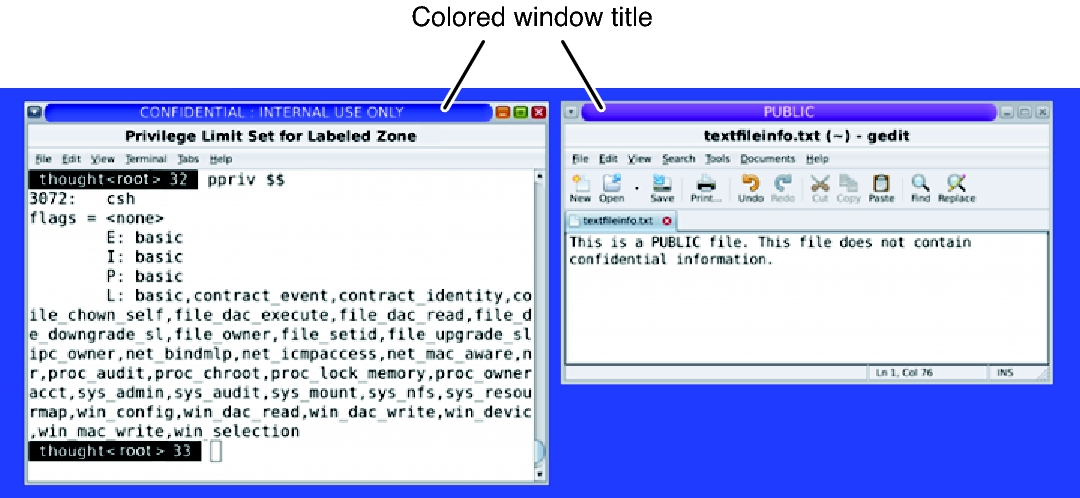 image:Graphic shows two windows, one with a blue Internal window title bar and one with a purple PUBLIC title bar.