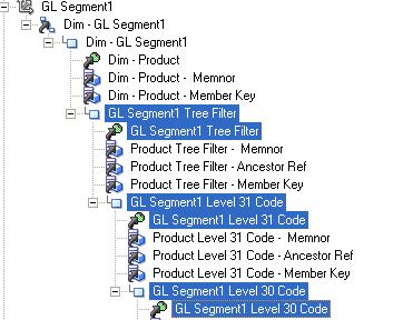 The screen shot shows an example of renamed non-qualified segment dimensions.
