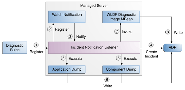 Description of Figure 13-3 follows