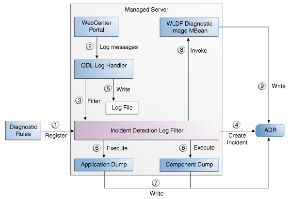 Description of Figure 13-2 follows