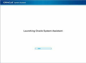 image:Mensajes de inicio de Oracle System Assistant