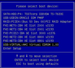 image:此图显示了 "Please Select Boot Device" 菜单（重定向）。