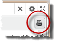 Top right of the Data Explorer component showing the Print icon