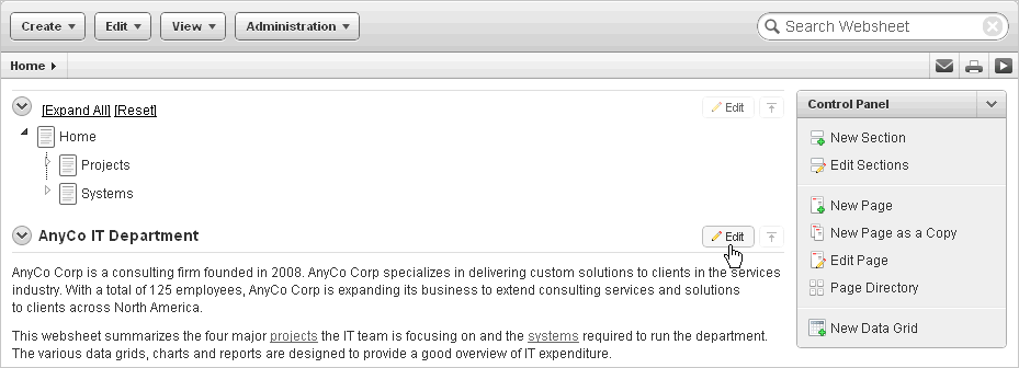 Description of websheet_edit_sect.gif follows