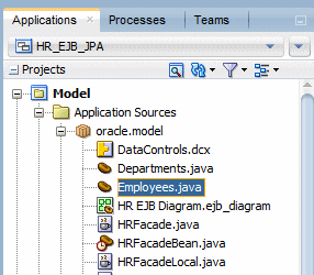 Model project in the Application Navigator