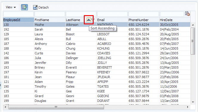 Run time view of Departments table. Cursor over arrow in the LastName field to enable sorting alphabetically.