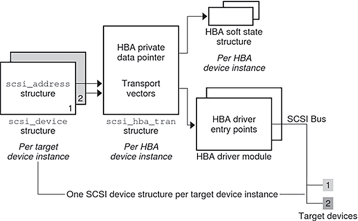 image:Diagram shows the relationships of structures involved in the HBA transport layer.
