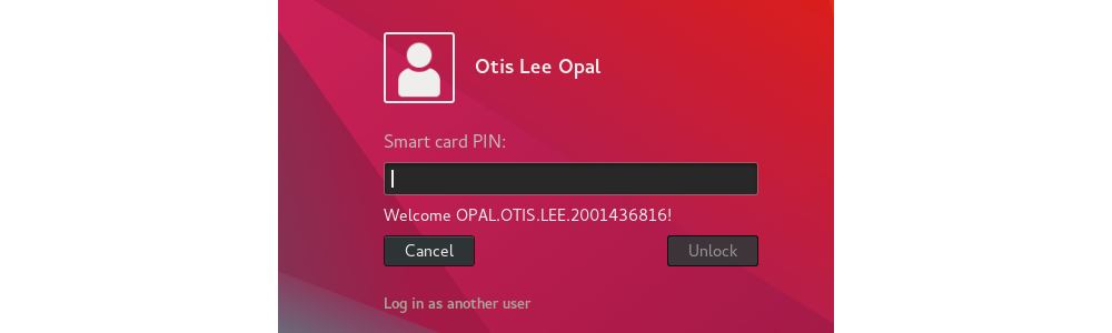 image:Screenshot of welcoming smart card user and prompting for PIN.