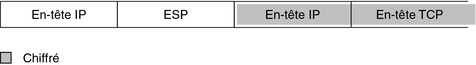 image:Le graphique illustre l'en-tête ESP après l'en-tête IP et avant un en-tête IP et un en-tête TCP. Les deux derniers en-têtes sont protégés par chiffrement.