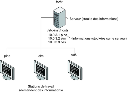 image:L'illustration montre le serveur et les clients en relation informatique client-serveur.