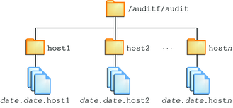 image:El gráfico muestra un directorio root de auditoría cuyos nombres de directorio principales son nombres de host.