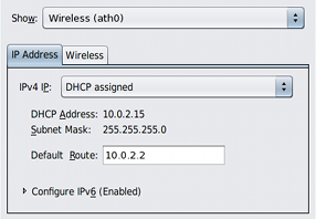 image:"Connection Properties"（连接属性）视图（"IP address"（IP 地址）选项卡在前景中）的图形。