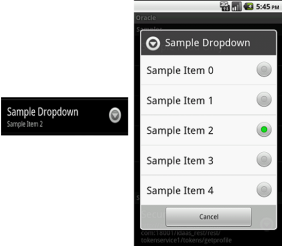 A sample Android single item list.