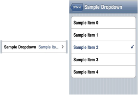 A sample iOS single item list.