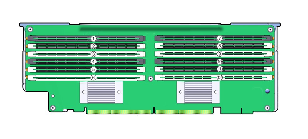 image:An illustration of a Memory Riser DIMM with numbered callouts for                             each slot.