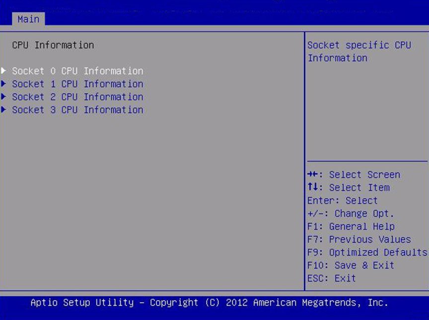image:A screen capture showing the CPU Information screen.