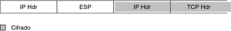 image:En el gráfico, se muestra el encabezado ESP después del encabezado IP y antes de un encabezado IP y un encabezado TCP. Los dos últimos encabezados están protegidos mediante cifrado.