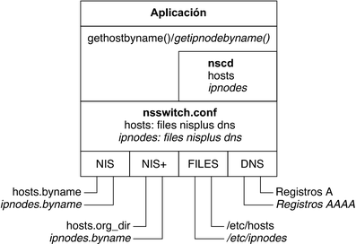 image:El diagrama muestra la relación entre NIS, NIS+, archivos y la base de datos de DNS, y el archivo nsswitch.conf.