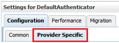 Shows the location of Provider Specific tab