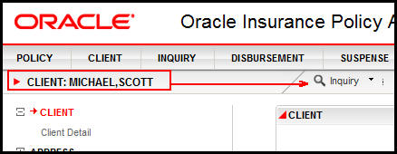 Client Level Inquiry in OIPA