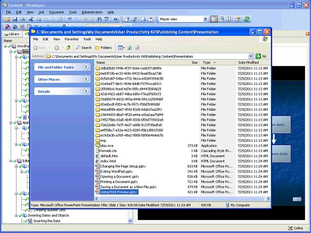 Screen image of this step