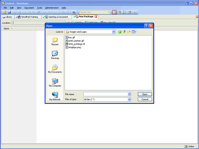Screen image of this step