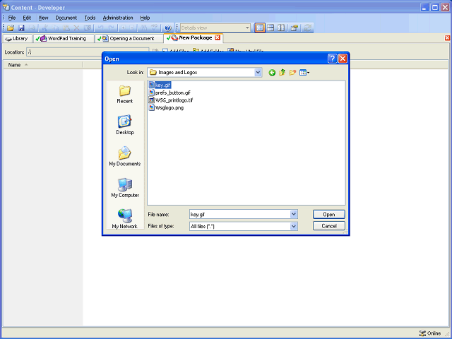 Screen image of this step