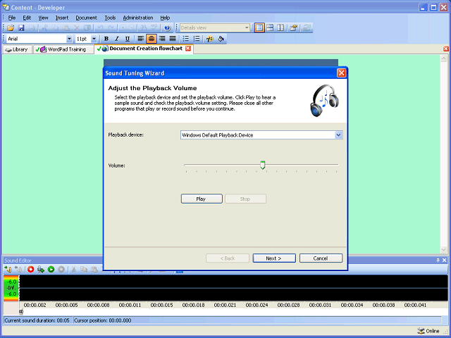 Screen image of this step