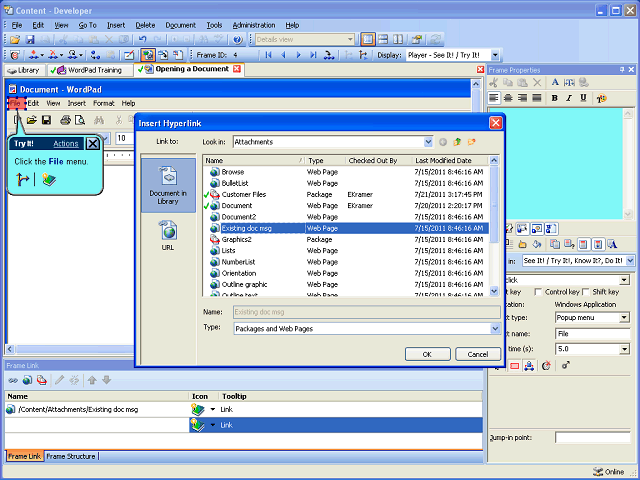 Screen image of this step