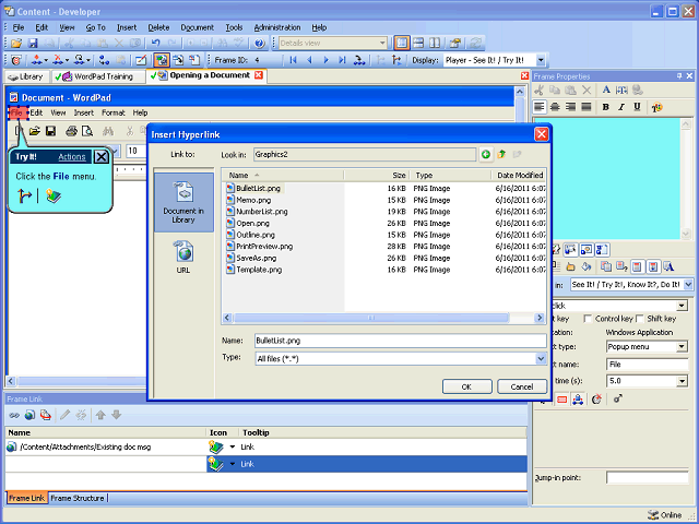 Screen image of this step