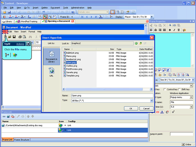 Screen image of this step