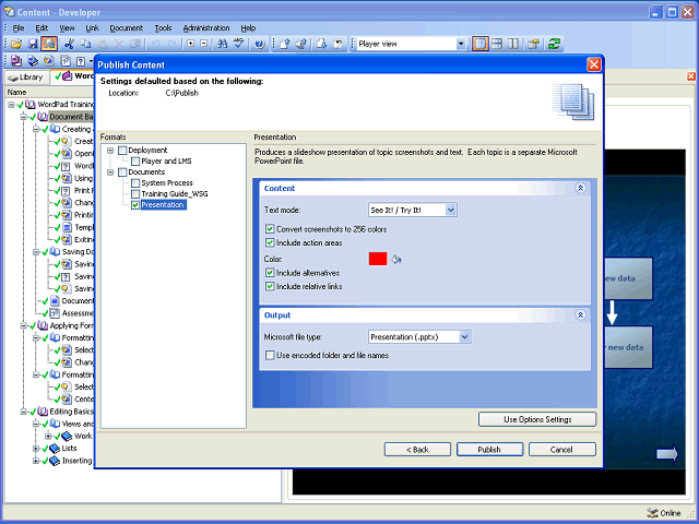 Screen image of this step