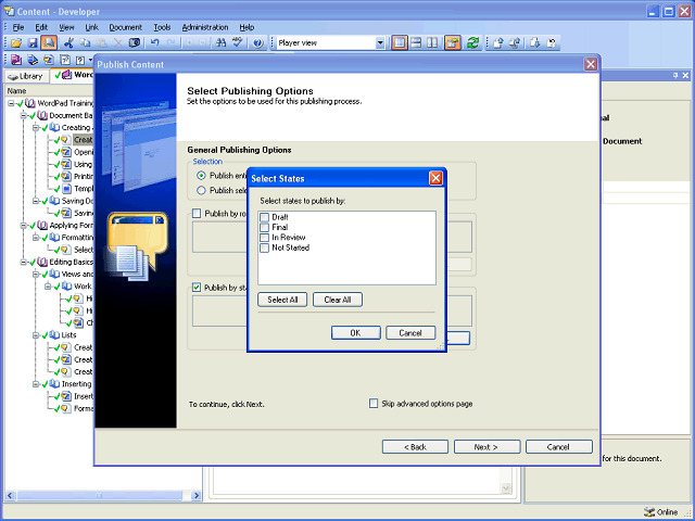 Screen image of this step