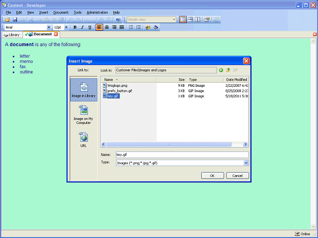 Screen image of this step